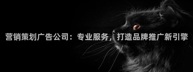 必赢官网