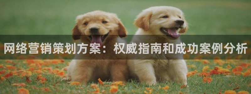 必赢437官网