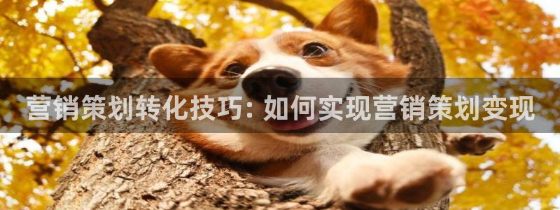 必赢官网app下载安装
