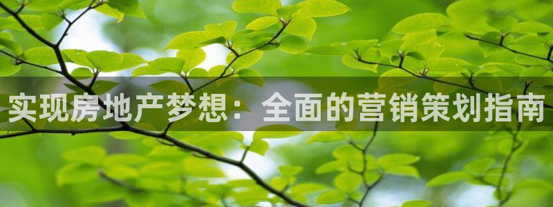 必赢客安卓版
