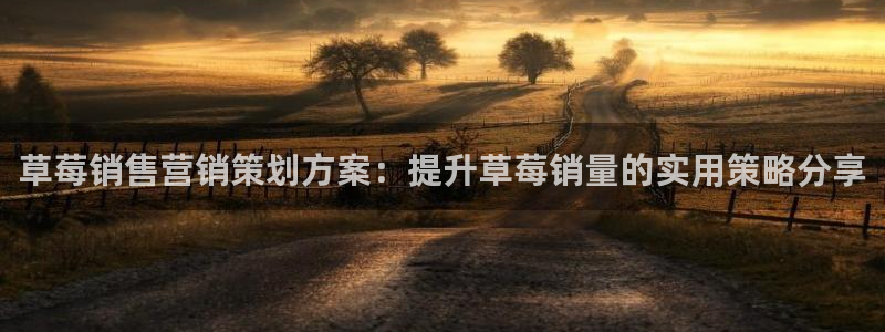 必赢国际是什么