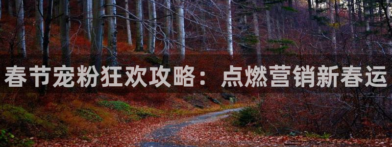 必赢网址谁知道的