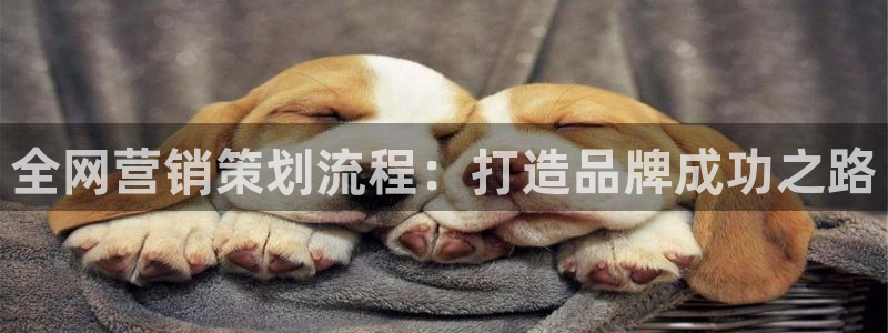 必赢官网网址多少号
