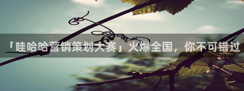 必赢下载
