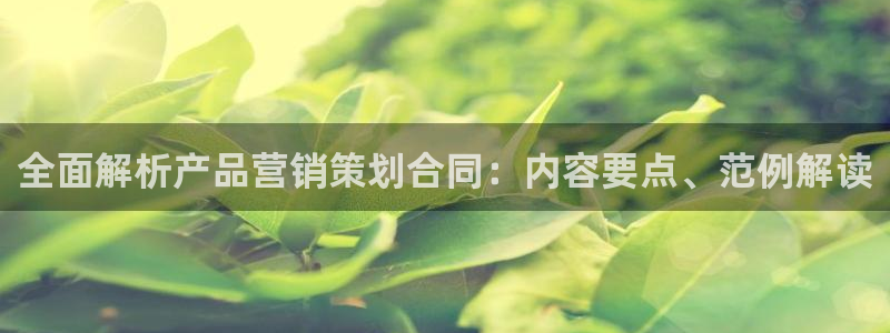 必赢手机app下载最新版本安卓苹果