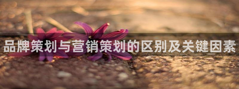 必赢365官方网登录