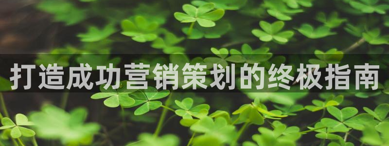 必赢手机app下载抢红包：打造
